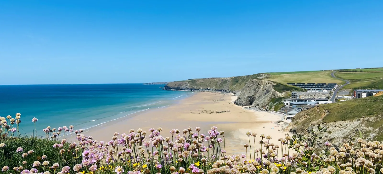 A beach with flowers and sand.