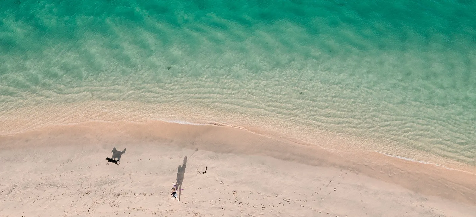 A woman and dog walking on the beach.