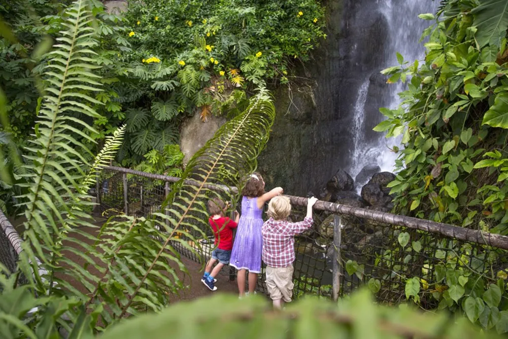 A group of kids looking at a waterfall.