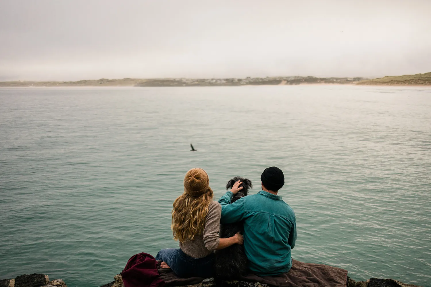 Beach Retreats | Dogs love the seaside and Cornwall has plenty of it.