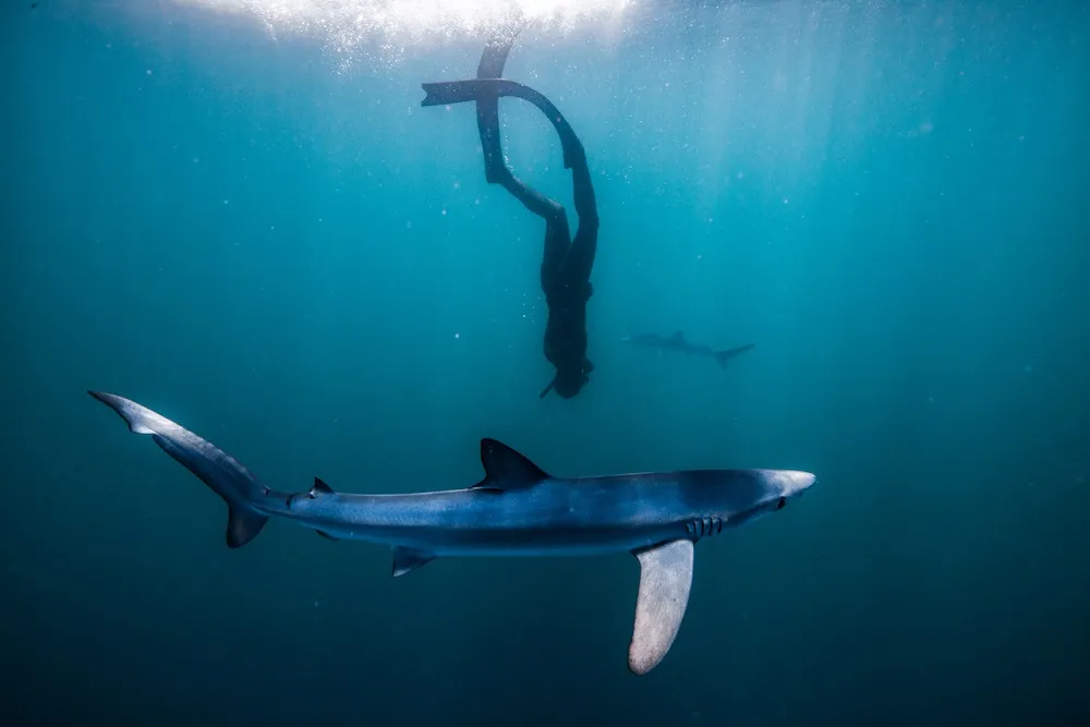 Beach Retreats | Change of Pace: Deep aquacity diving 2