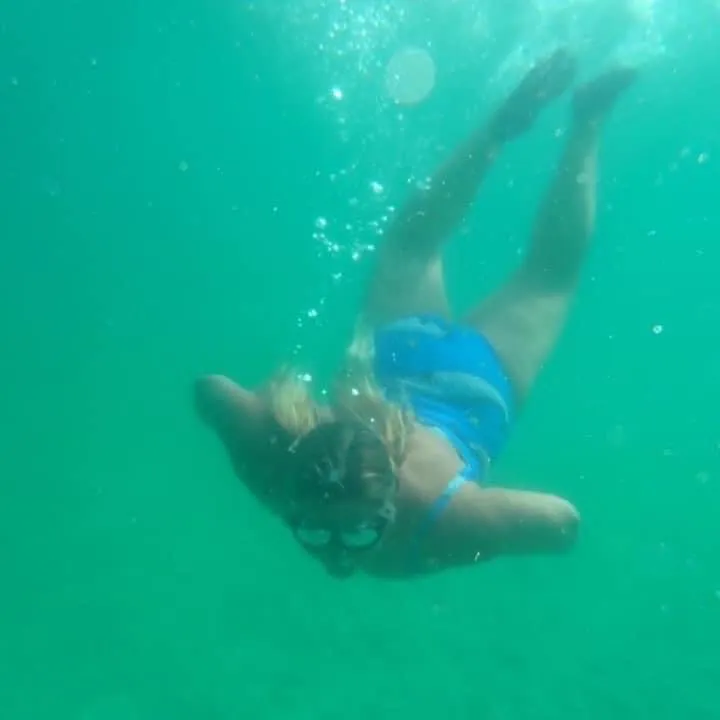 Bluetits swimming in Perranporth in Cornwall