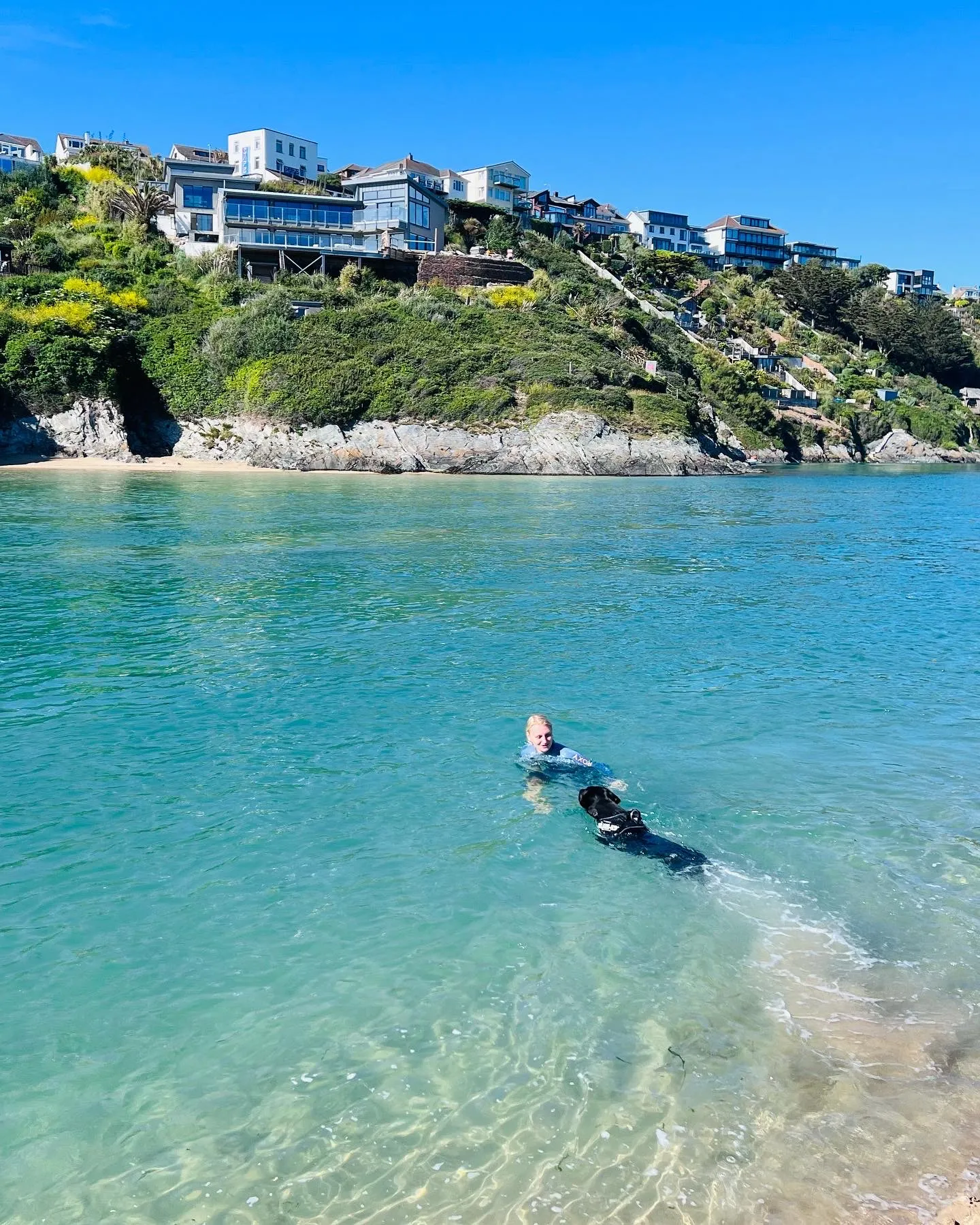 Beach Retreats | A good lead: recommended days out for your dog