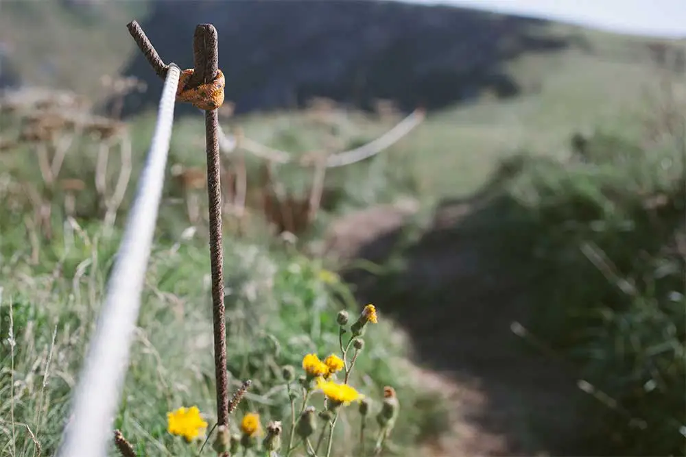 Coastal walks 