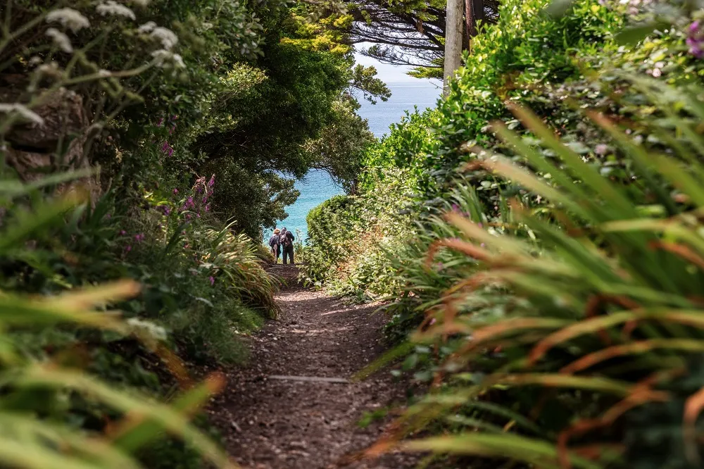 Beach Retreats | Discover Sennen