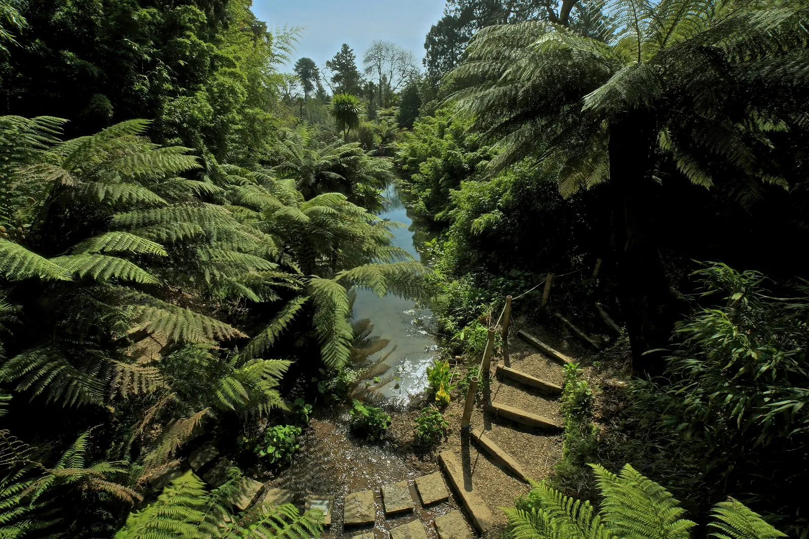 Heligan credit Toby Strong