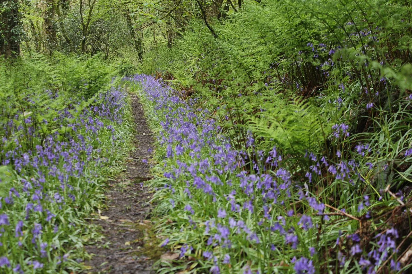 Beach Retreats | The forgotten corner of Cornwall
