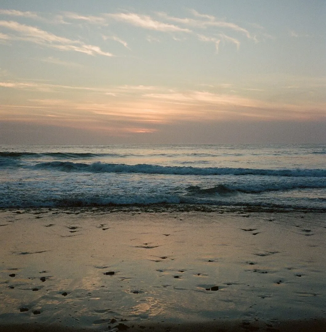 Credit Lily Bertrand Webb beachoutofhours 3 Copy