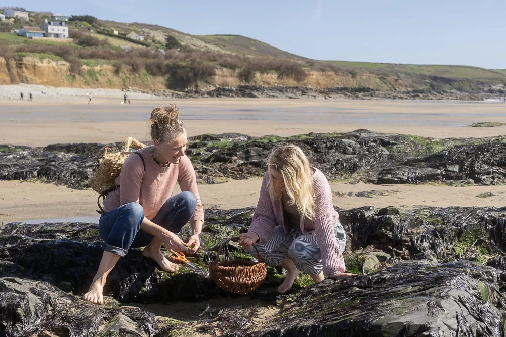 Foraging in Perranuthnoe