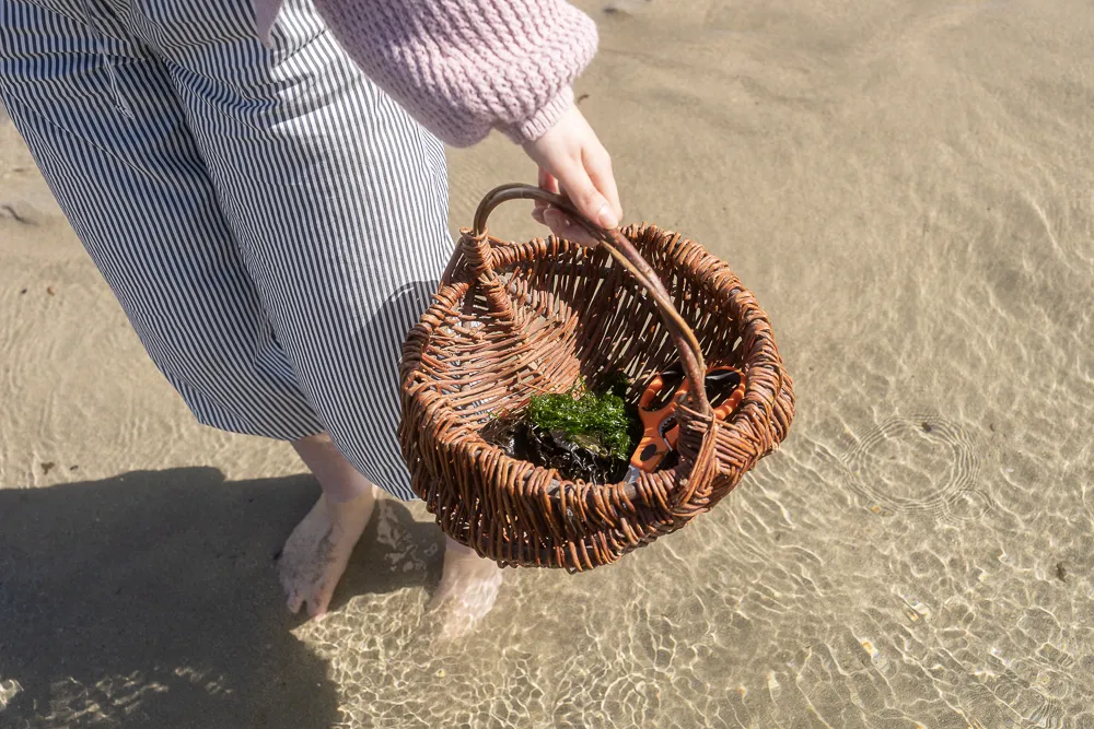 Foraging in Perranuthnoe