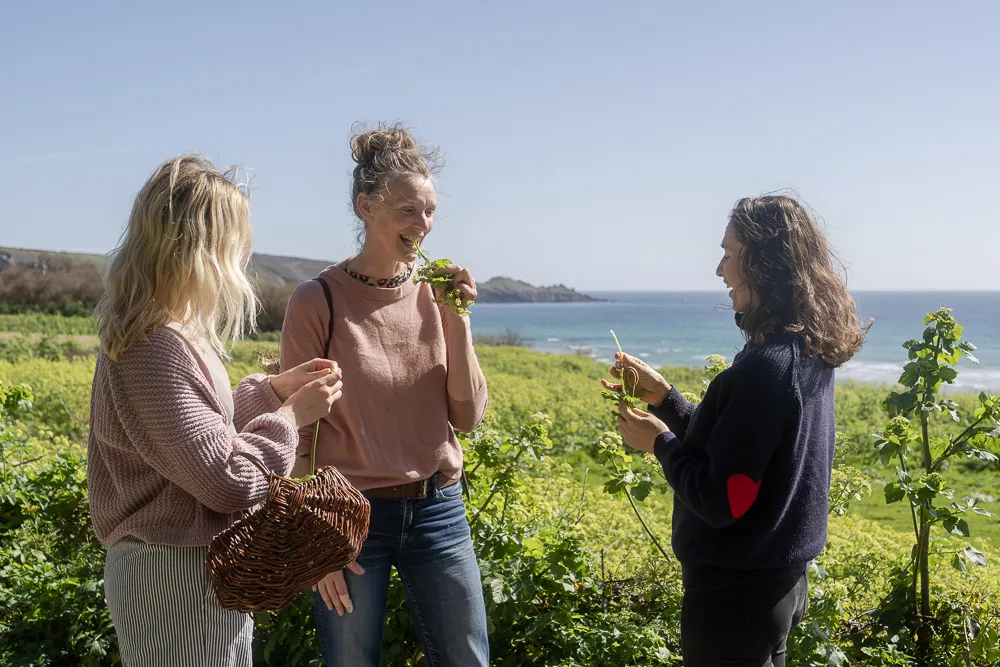 Foraging in Perranuthnoe