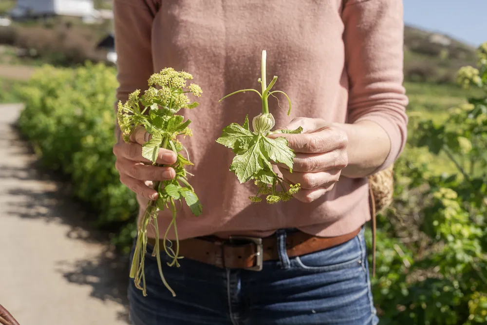 Foraging in Perranuthnoe