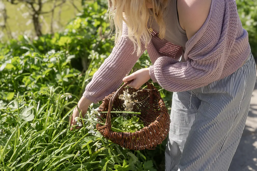 Foraging in Perranuthnoe