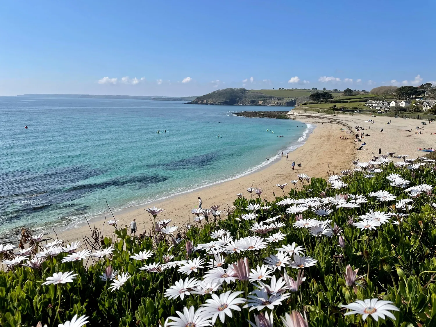 Beach Retreats | Welcome to Gyllyngvase