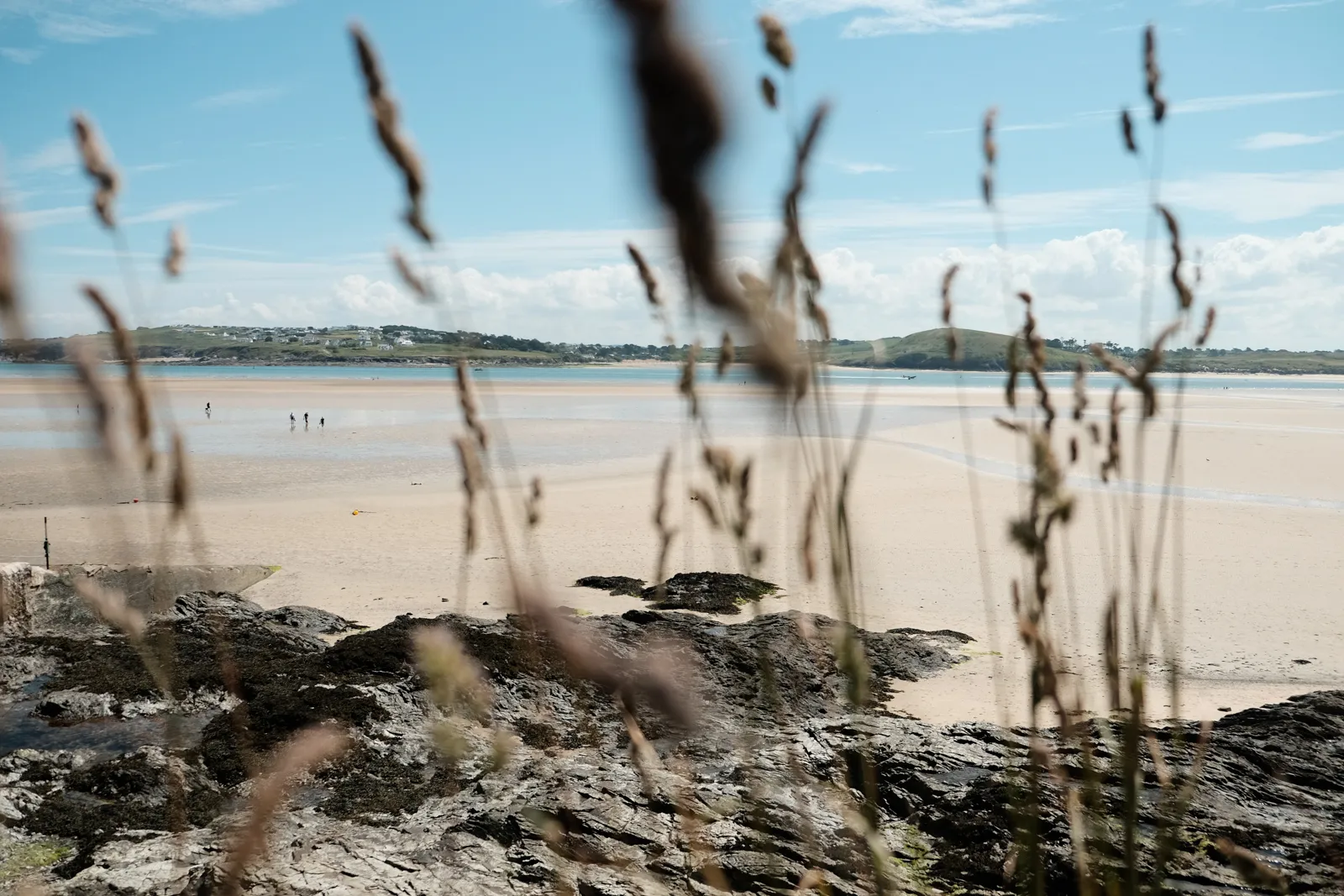 Beach Retreats | Harbour Cove - a world away