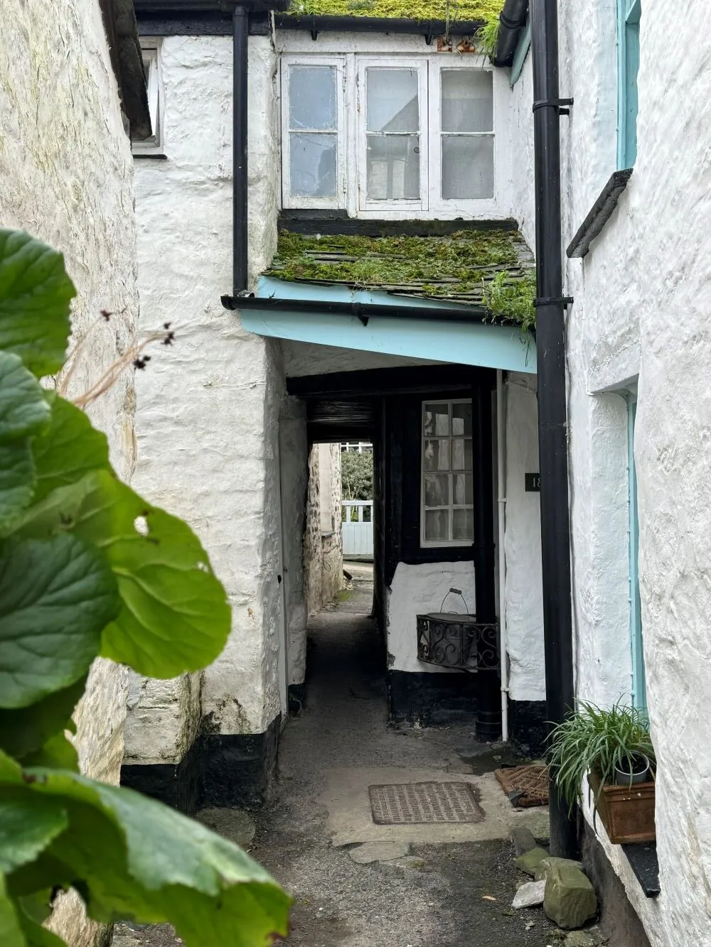 Squeezy Belly lane Port Isaac