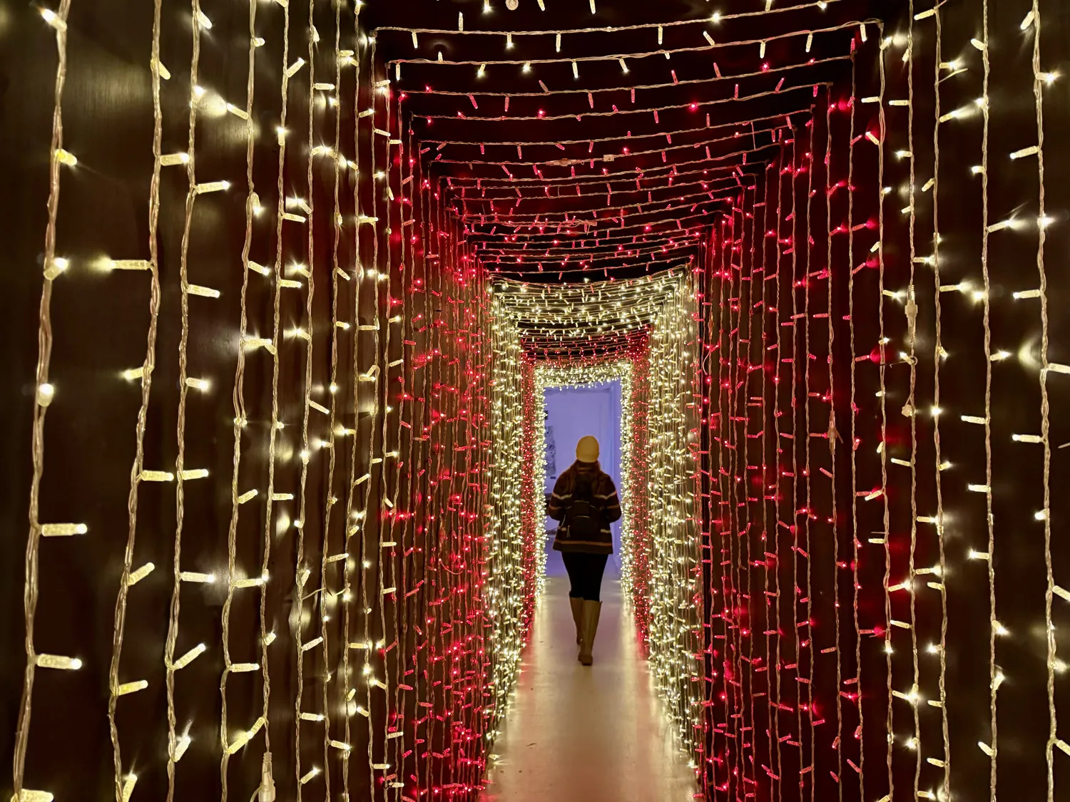 Carlyon Bay Tunnel of Lights