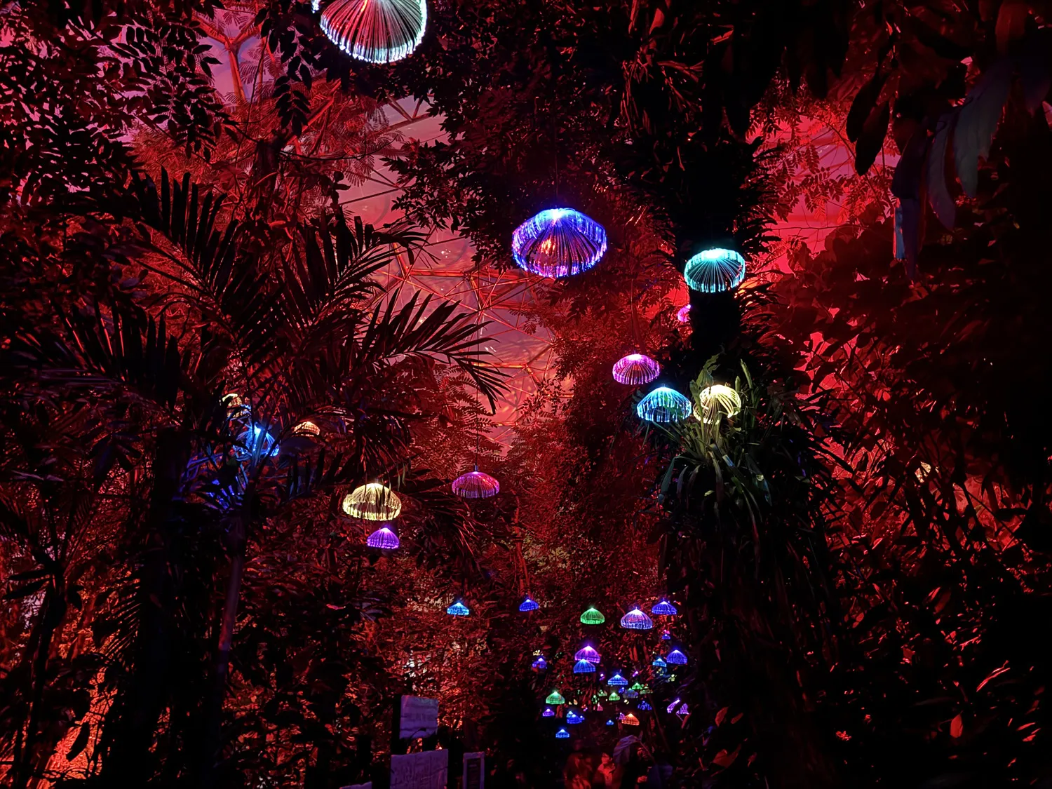 The Eden Project Christmas lights