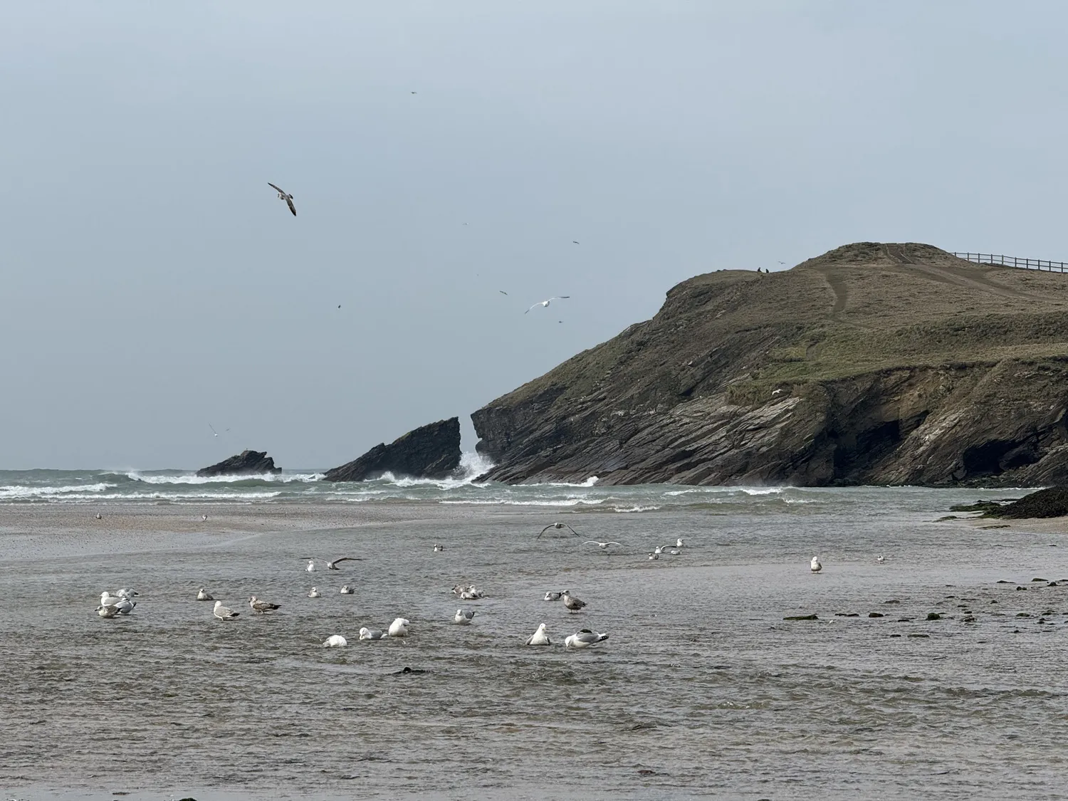 Porth Beach, Cornwall