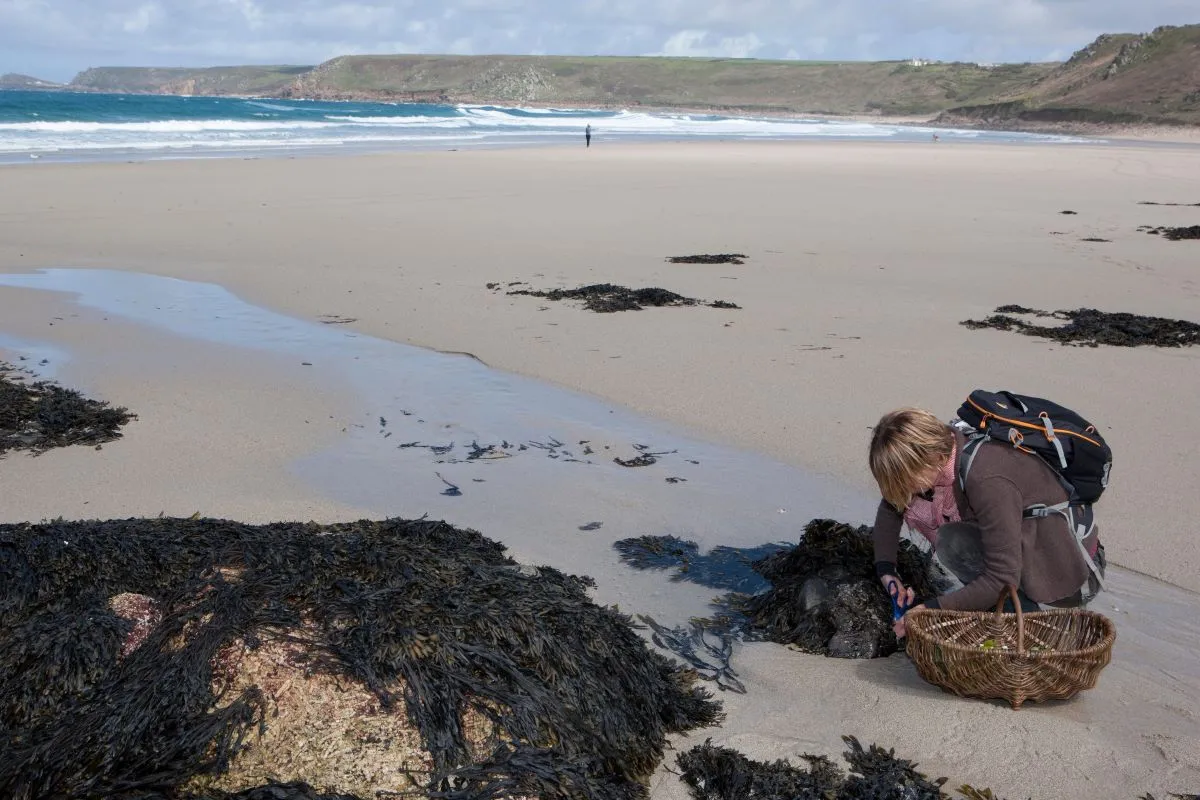 Woman foraging on beach