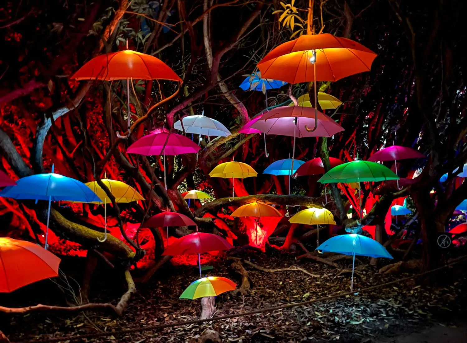 heligan night garden